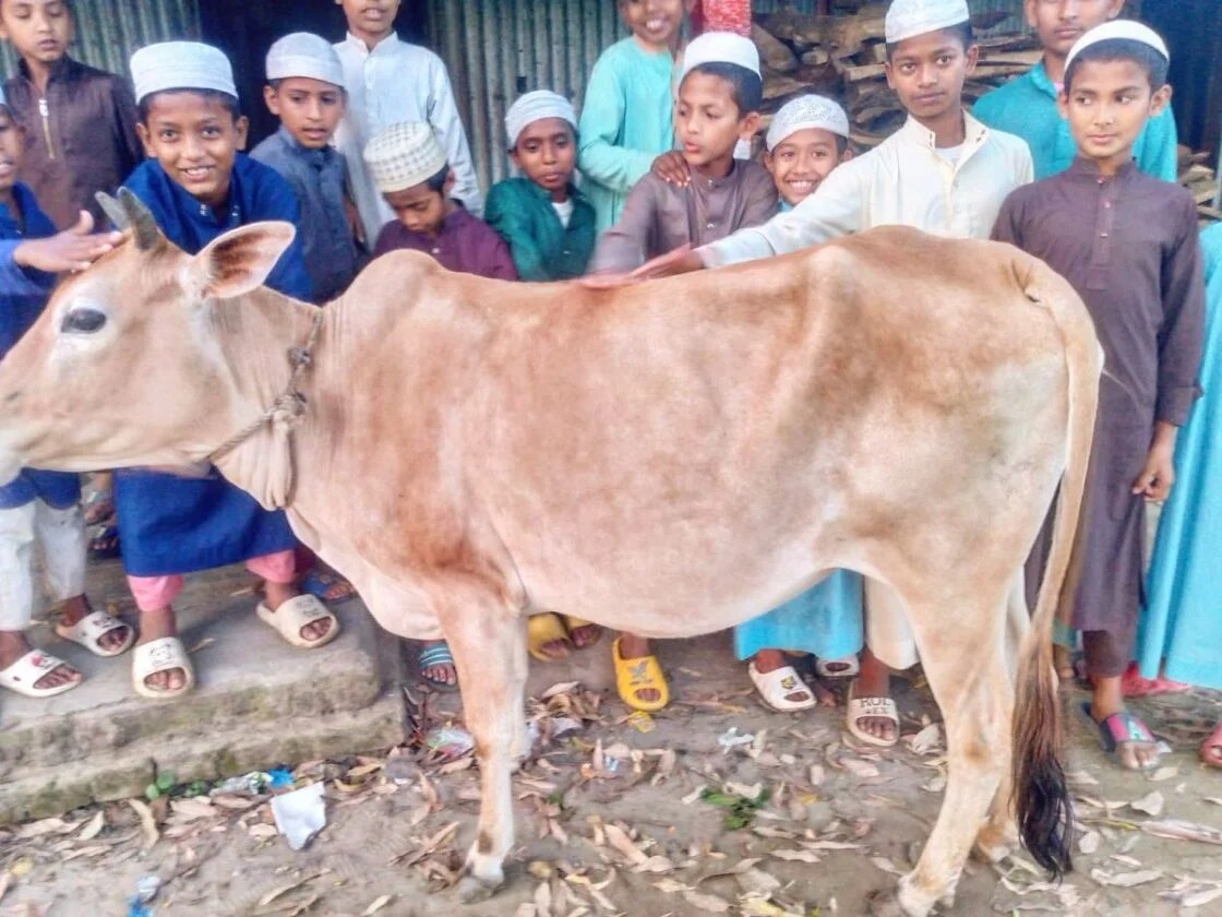 Iftar meal distribution during Ramadan
